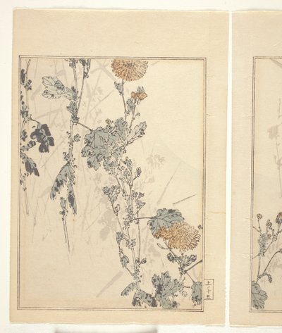 Crisantemi (stampa a blocchi di legno a colori) da Japanese School