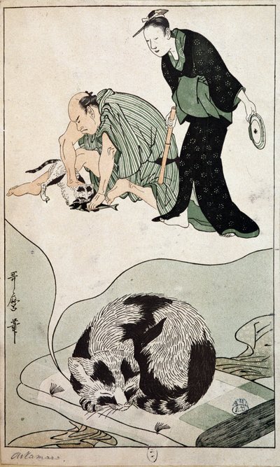 Gatto sognante - Giappone da Japanese School
