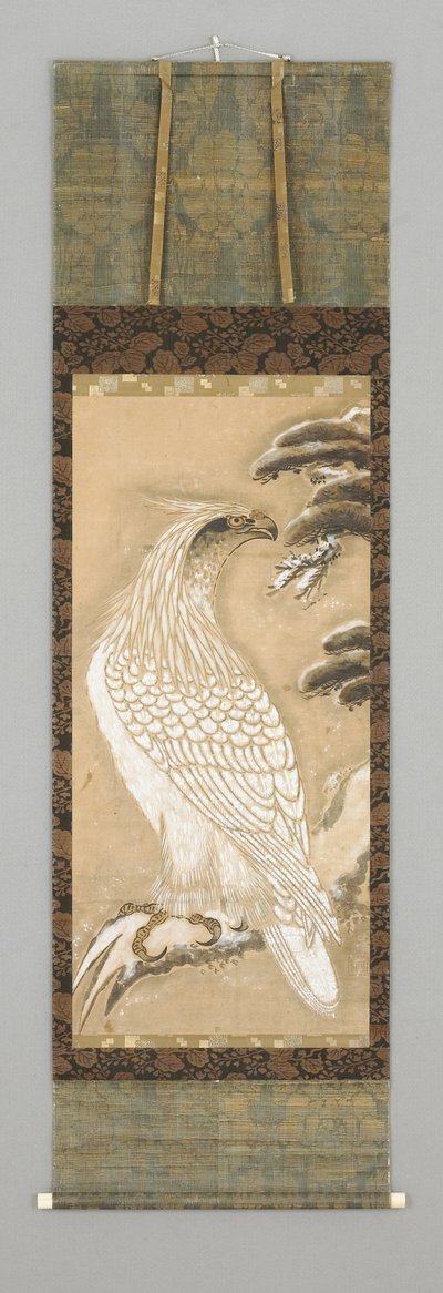 Aquila da Japanese School