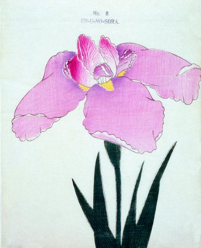 En-U-no.-Sora, n.8, 1898 da Japanese School
