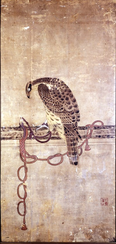 Falco. Opera giapponese del XV secolo di Daysen. Genova, Museo Chiossone. da Japanese School