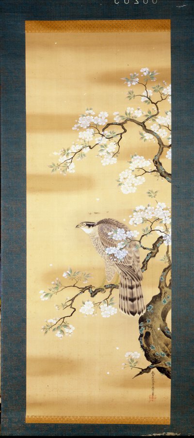 Falco su un ramo di ciliegio giapponese fiorito. Dipinto su seta del XVIII secolo del Giappone. Genova. Museo Chiossone. da Japanese School