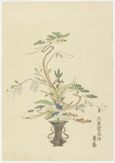 Composizione floreale di Rokkakud? Ikenob? Seny?; Pino e acacia da Japanese School