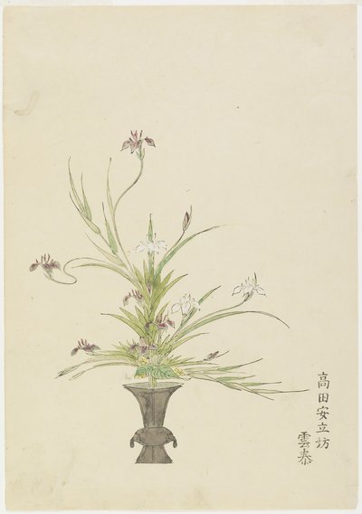 Composizione floreale di Takada Anritsub? Untai, Iris da Japanese School