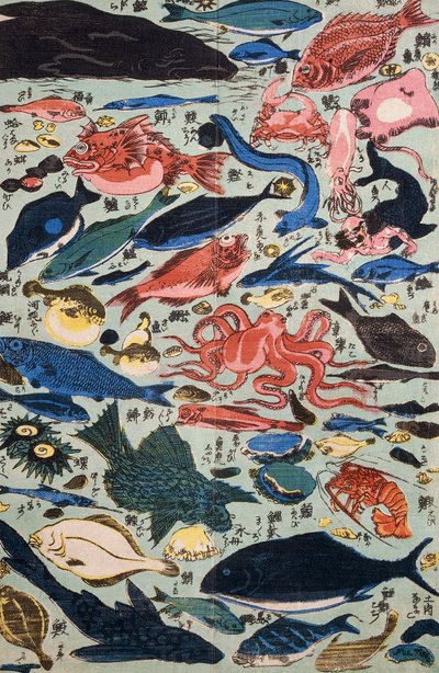 Pesce fresco, molluschi e crostacei da Japanese School