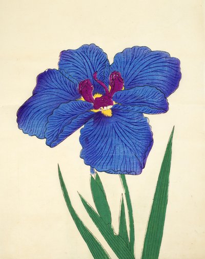 Gosetsu-no.-Mai, n.9, 1898 da Japanese School