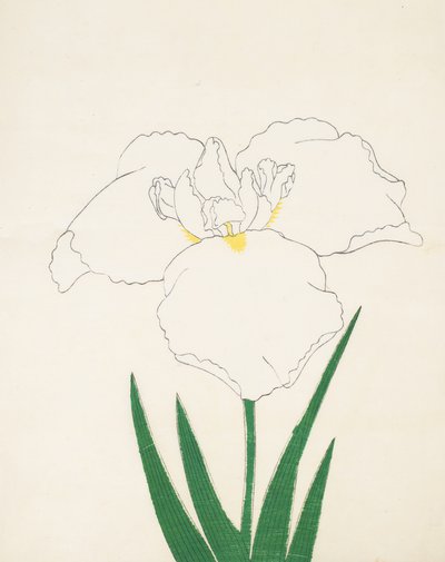 Hatsu-Shimo, n. 6, 1890 da Japanese School