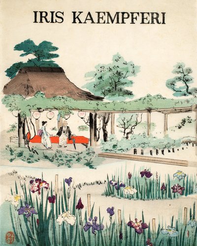 Iris Kaempferi - Copertina, 1890 da Japanese School