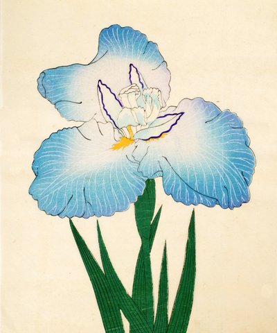 Irojiman, No. 80, 1890 da Japanese School