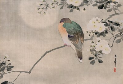 Dipinto di Seta Giapponese di un Piccione Selvatico da Japanese School