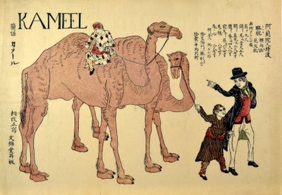 Kameel, pub. 1821 da Japanese School