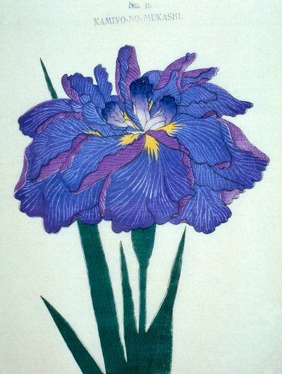 Kamiyo-no-Mukashi, n.16, 1898 da Japanese School