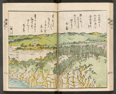 Vedute di Yokohama da Japanese School