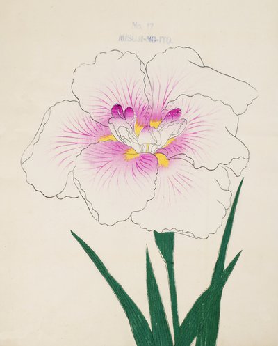 Misuji-no.-Ito, n.17, 1898 da Japanese School