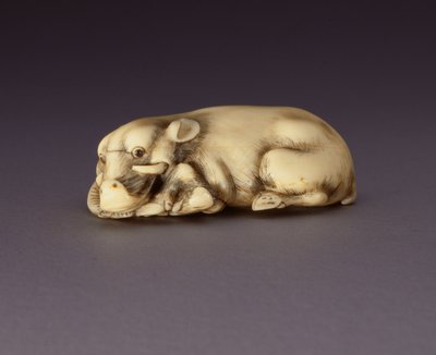Netsuke raffigurante un cinghiale reclinato, c. 1750-80 da Japanese School