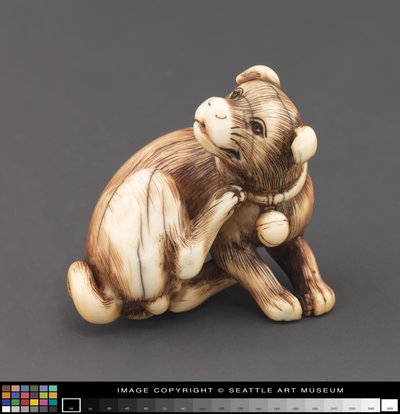 Netsuke modellato come un cane che si gratta il collo da Japanese School
