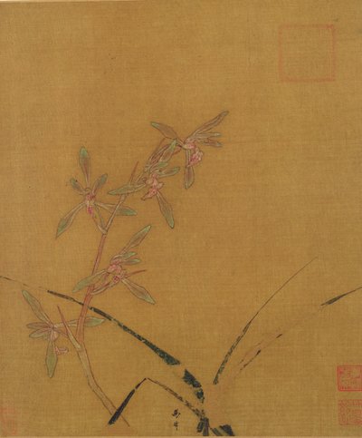 Orchidee da Japanese School