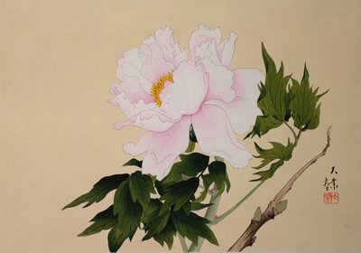 Peonia, pub. 1950 da Japanese School