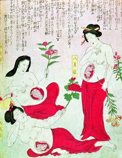 Donne incinte, 1881 da Japanese School
