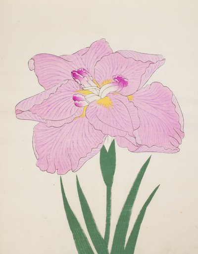 Shu-Fu-Raku, No. 58, 1890 da Japanese School
