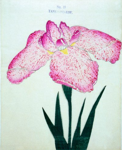 Tanka-no.-Koe, n.15, 1898 da Japanese School