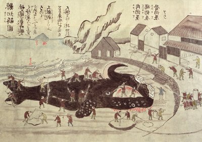 Smembramento di una balena, fine XIX secolo da Japanese School