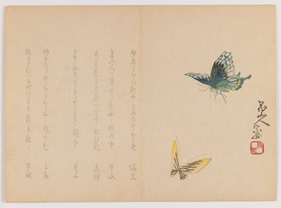 Due farfalle, c.1860 da Japanese School