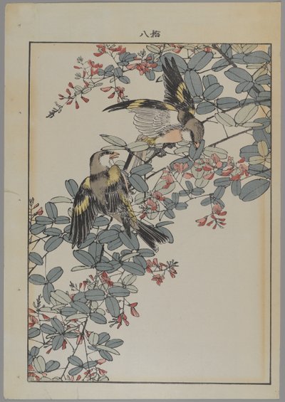 Due uccelli con fiori rosa, periodo Meiji, c.1868-1912 da Japanese School