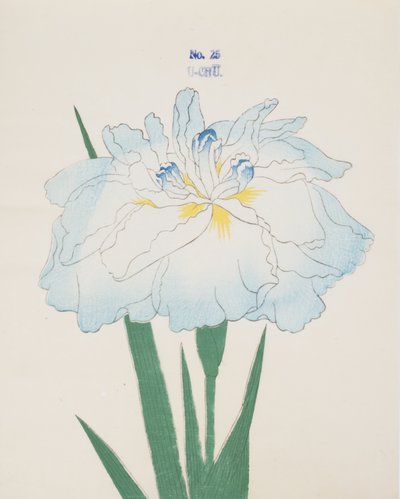 U-Chu, n.25, 1898 da Japanese School