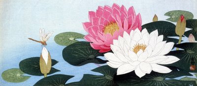 Ninfee e libellula - stampa giapponese da Japanese School