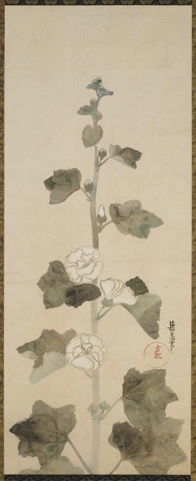 Agrifogli bianchi, periodo Edo da Japanese School