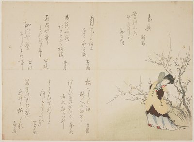 Donna in abiti di corte cinesi, c.1830-44 da Japanese School