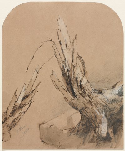 Un Albero Spoglio (recto) Pianta del Pavimento (verso) da Jasper F. Cropsey