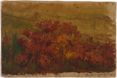 Senza titolo da Jasper Francis Cropsey