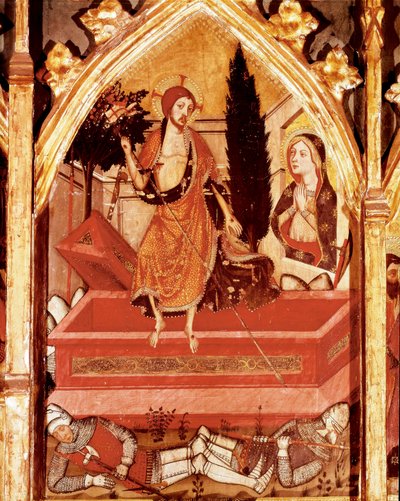 Pala d