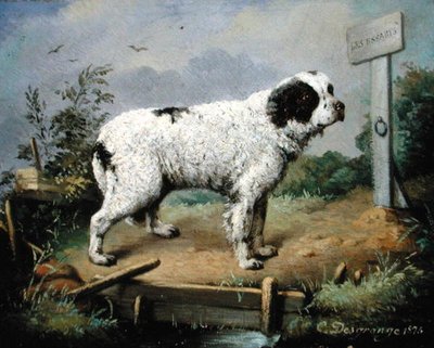 Un Terranova su un argine da Jean Baptiste Desgrange