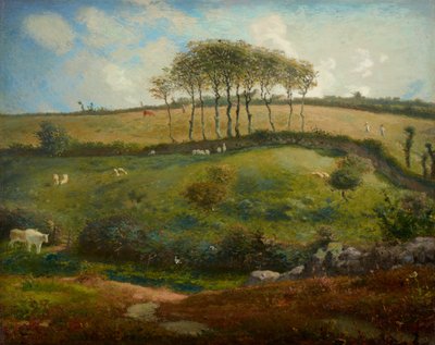 Pascolo vicino a Cherbourg (Normandia) da Jean Francois Millet