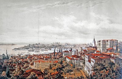 Veduta generale di Costantinopoli, c.1850 da Jean (after) Brindesi