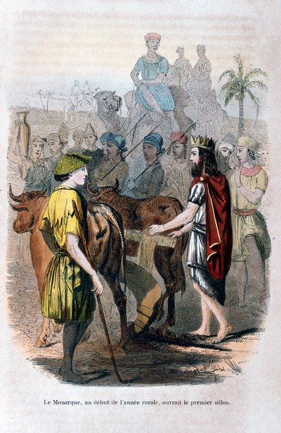 Il monarca, all