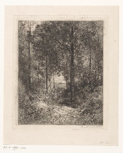 Paesaggio boschivo da Jean Alexis Achard
