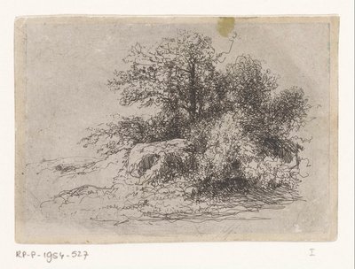 Cespuglio da Jean Alexis Achard