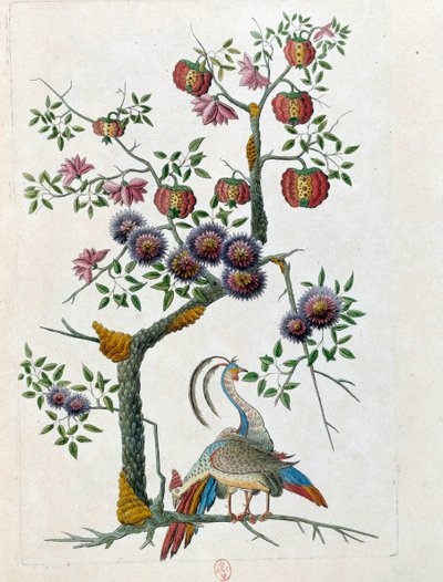 Disegno da un vaso cinese: uccello e ramo di fiori da Jean Antoine Fraisse