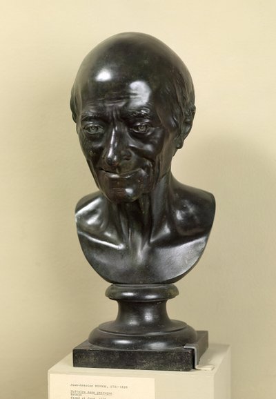 Busto di Voltaire (1694-1778) 1778 da Jean Antoine Houdon