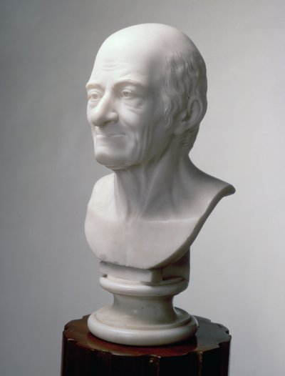 Busto di Voltaire, c.1770 da Jean Antoine Houdon