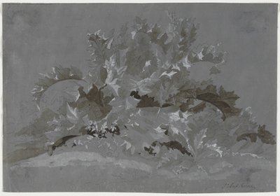 Studio di Erbacce da Jean Antoine Linck