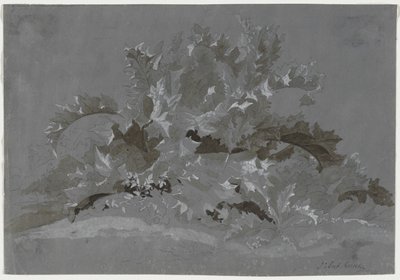 Studio di erbacce, 1800-1850 da Jean Antoine Linck