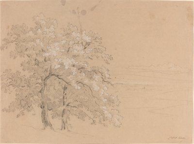 Alberi illuminati dal sole davanti a un paesaggio panoramico da Jean Antoine Linck