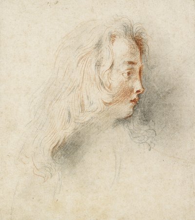 Testa di un ragazzo di profilo da Jean Antoine Watteau