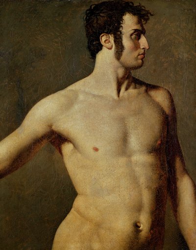 Torso maschile da Jean Auguste Dominique Ingres