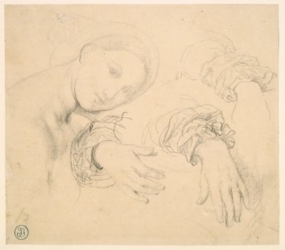Foglio di studi con la testa della Fornarina e le mani di Madame de Senonnes da Jean Auguste Dominique Ingres